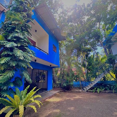 Jungle Fence Bed and Breakfast Bentota Buitenkant foto