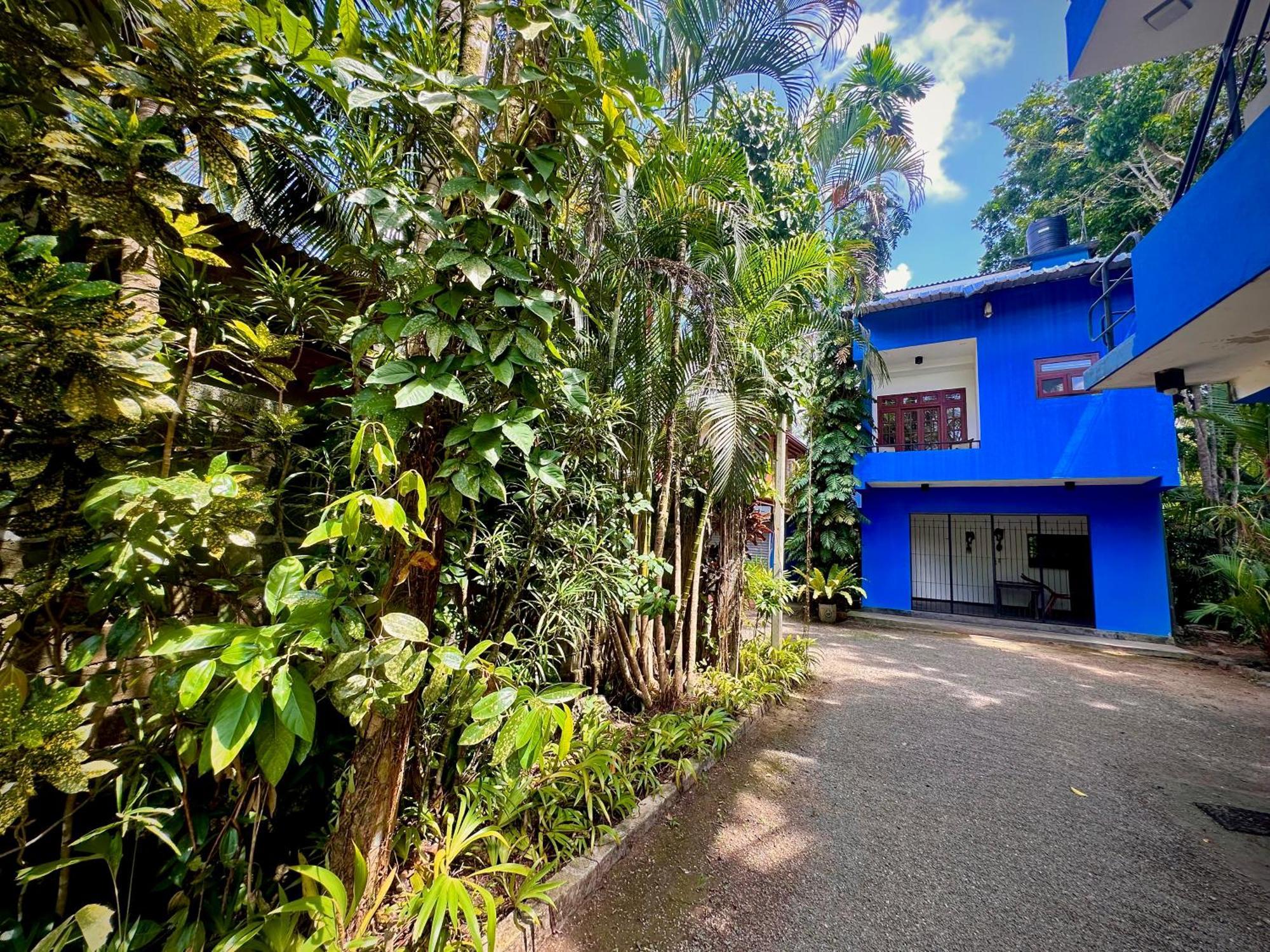 Jungle Fence Bed and Breakfast Bentota Buitenkant foto