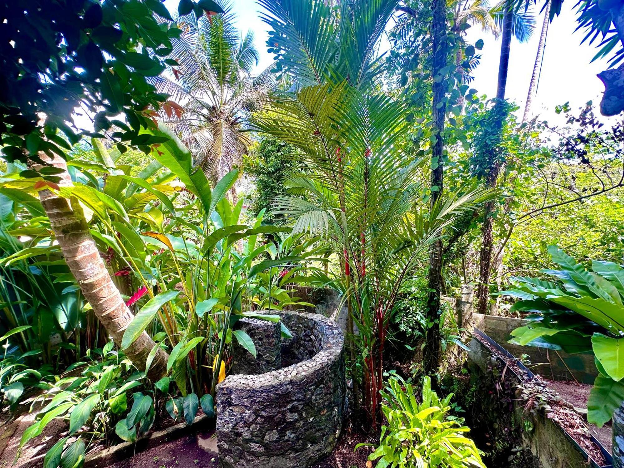 Jungle Fence Bed and Breakfast Bentota Buitenkant foto