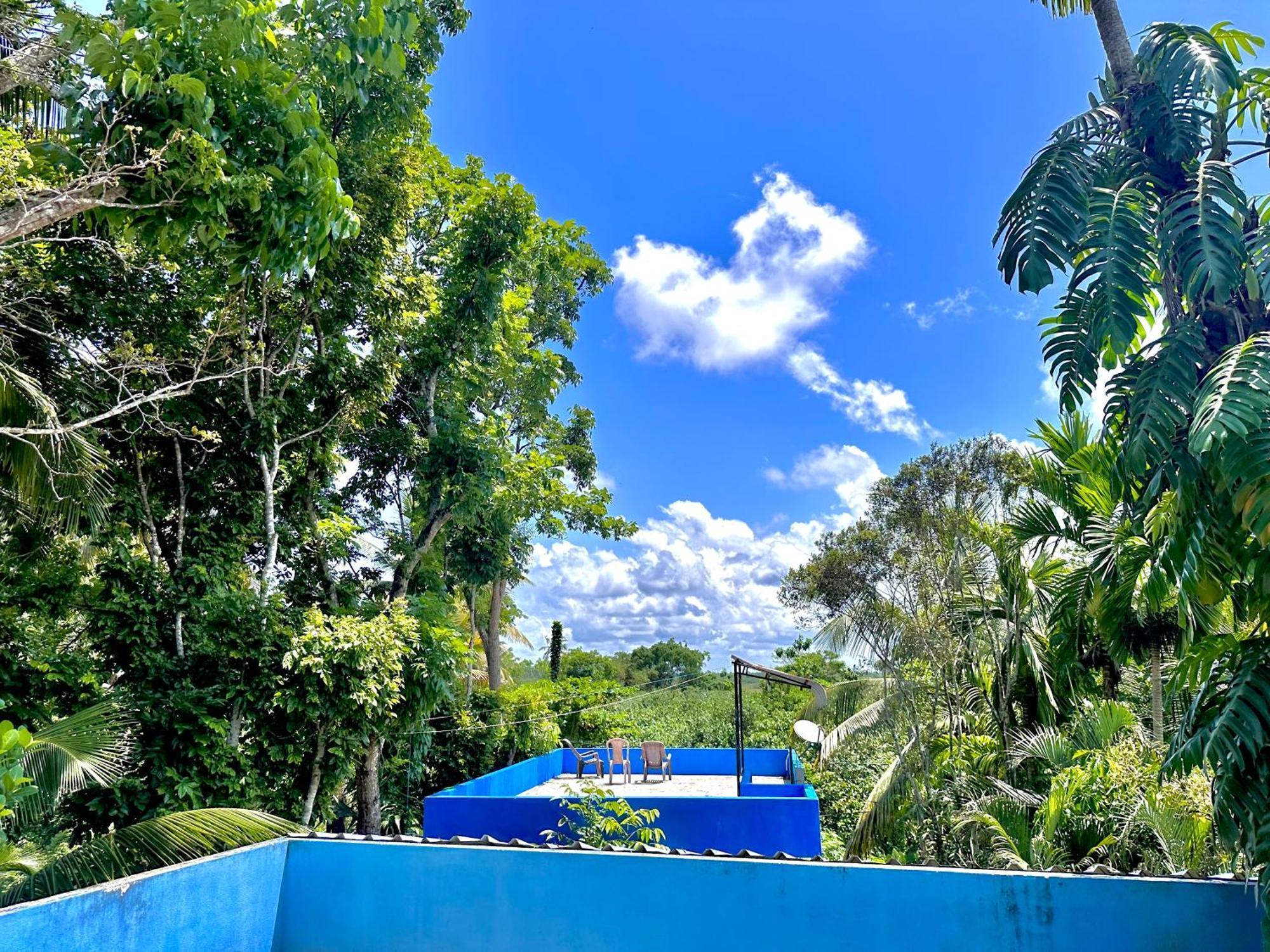 Jungle Fence Bed and Breakfast Bentota Buitenkant foto